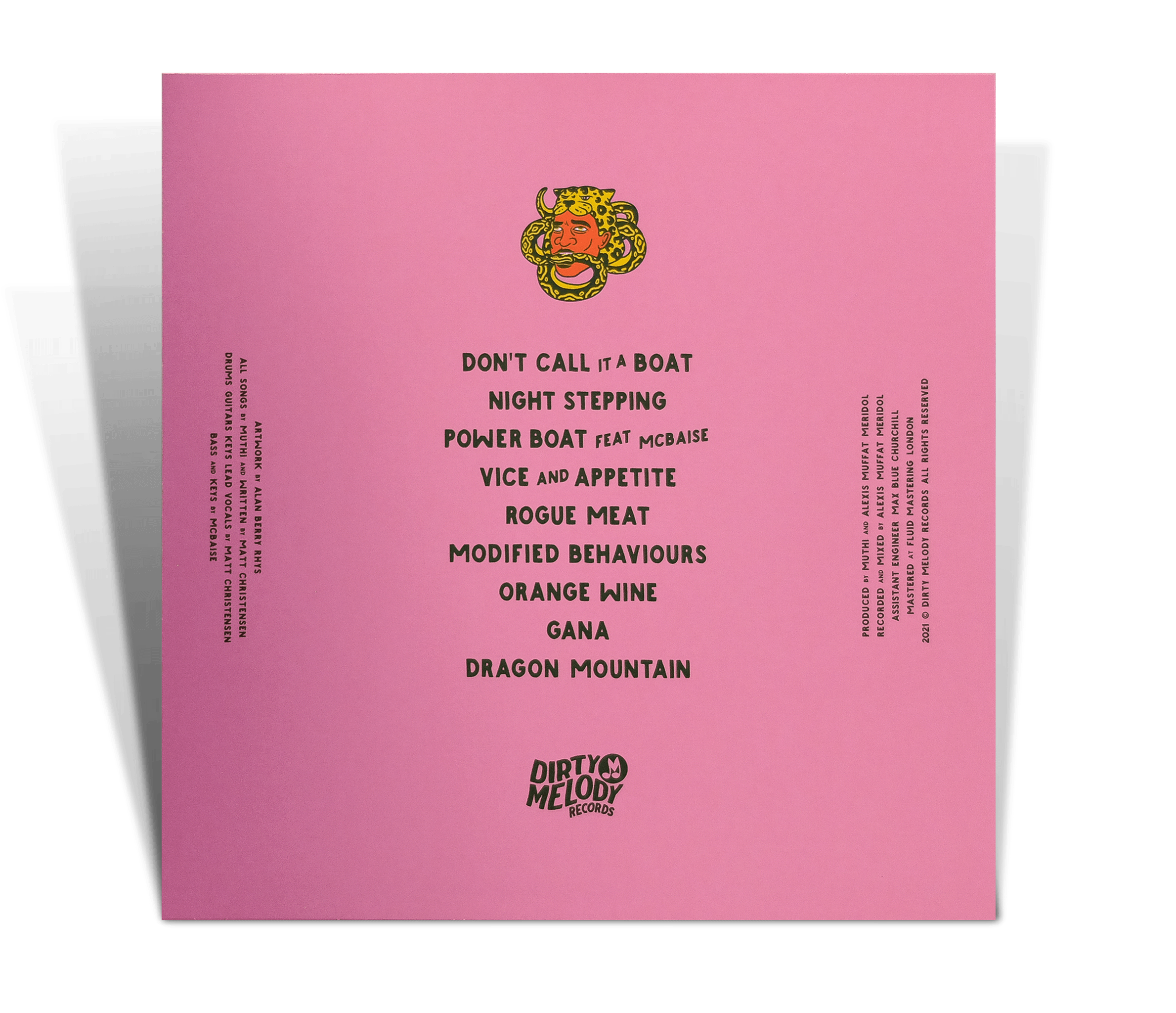 Visions Vinyl by Dirty Melody Records